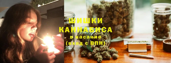 спайс Алзамай