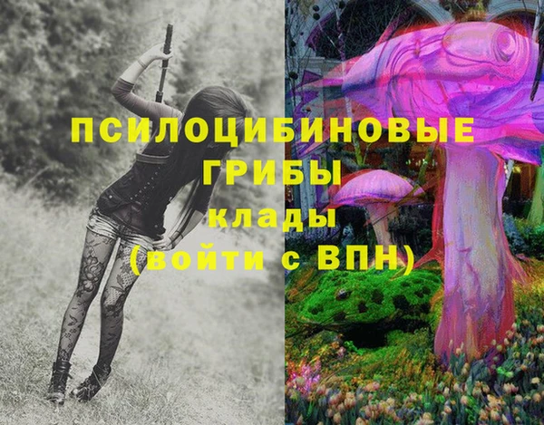 альфа пвп Алексеевка
