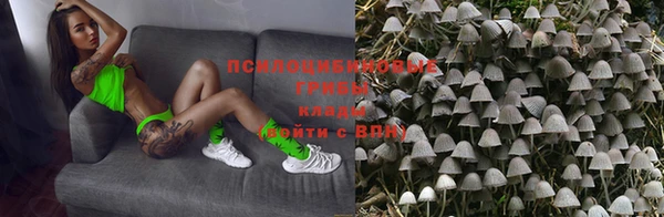 спайс Алзамай