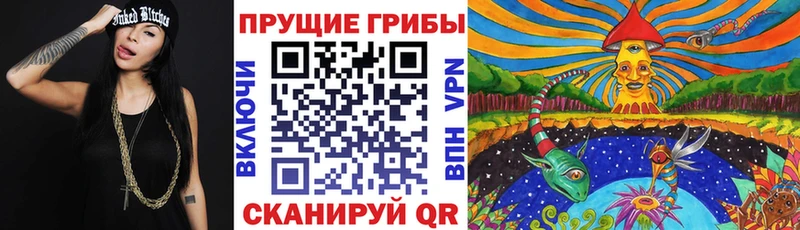 Псилоцибиновые грибы мухоморы  KRAKEN ССЫЛКА  Багратионовск  магазин продажи наркотиков 